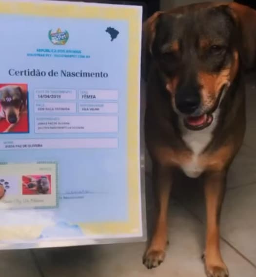 Cachorro com Certidao de Nascimento