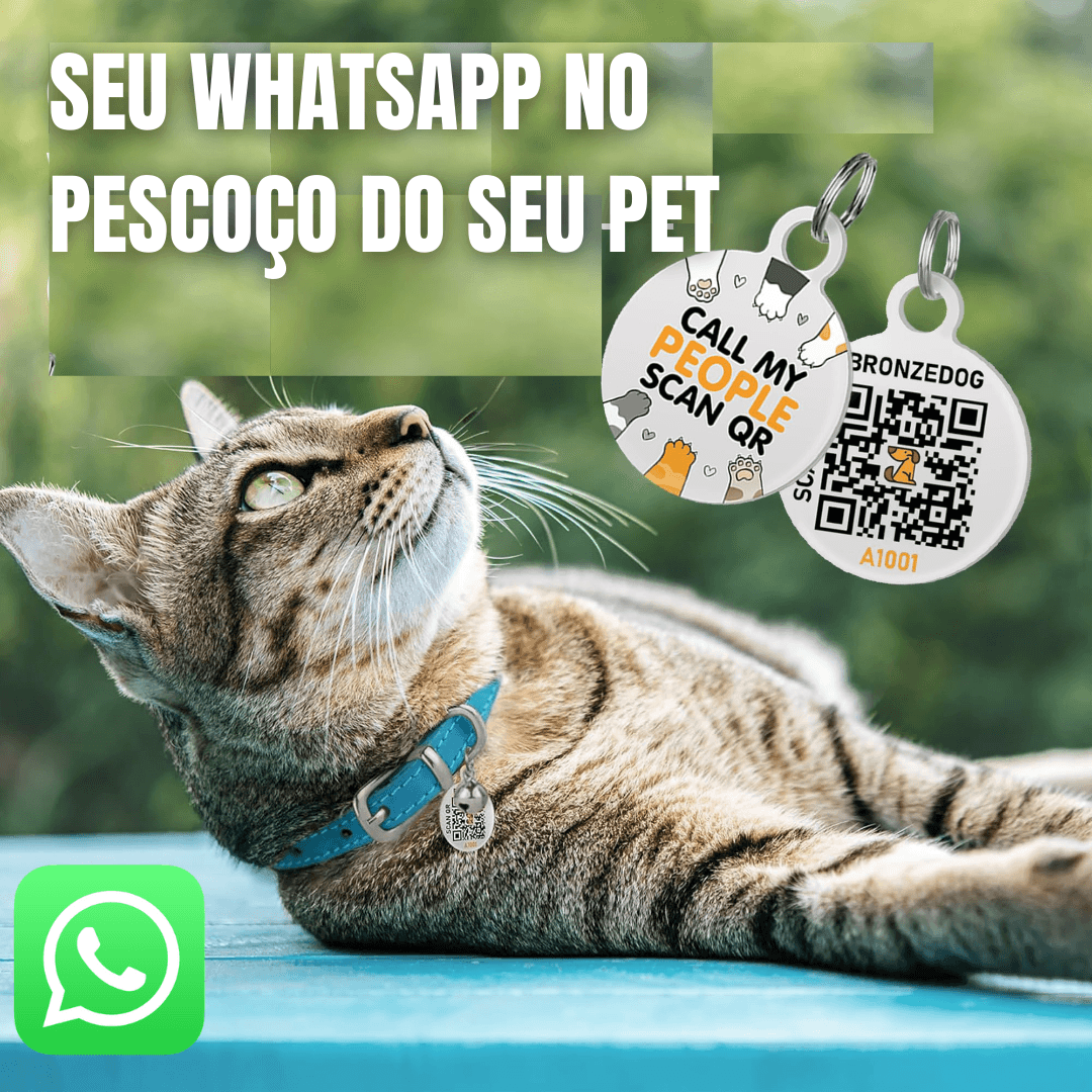 Gato com coleira e tag QR Code no pescoco